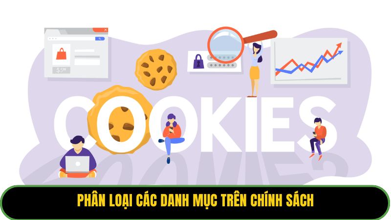 Phân loại các danh mục trên chính sách